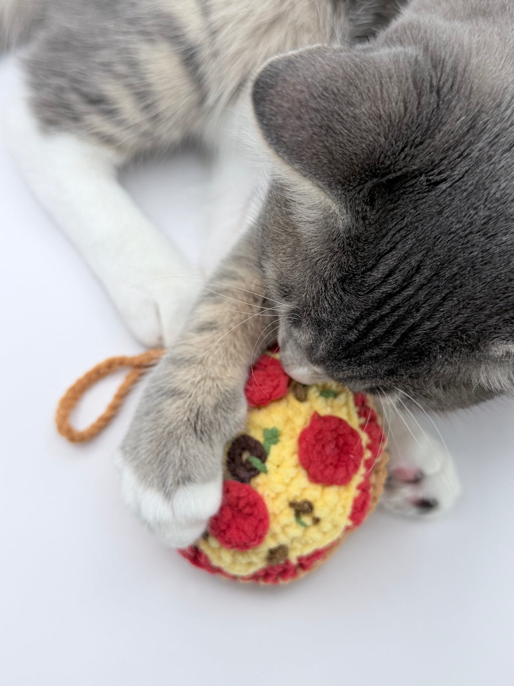 Crochet Pizza Coin Purse – Handmade Pepperoni Pouch
